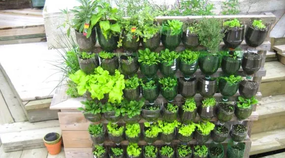 garden will grow well
