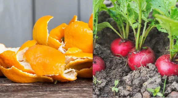 Orange peel fertilizer