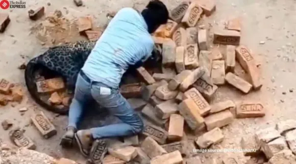 Man fights leopard