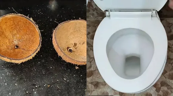 Toilet coconut shell