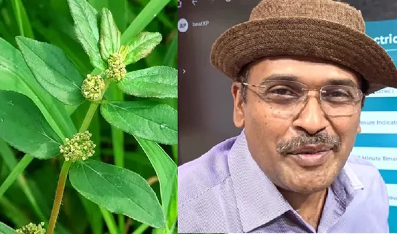 Amman Pacharisi mouth ulcer remedy