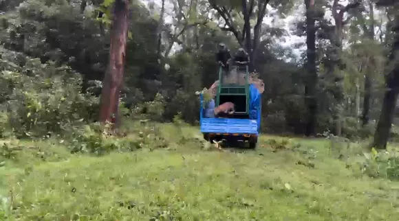leopard release