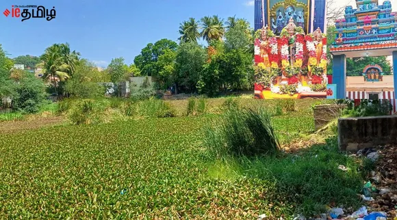 madurai pond 2