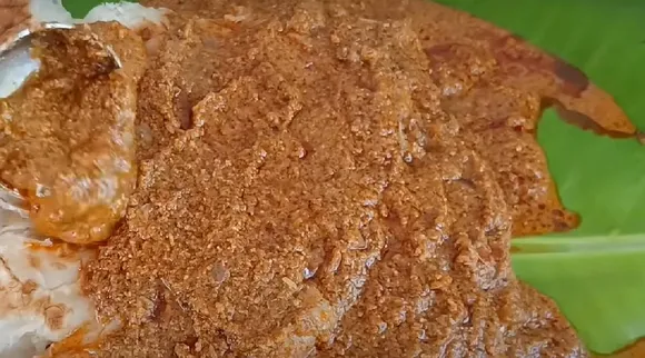 Parotta salna