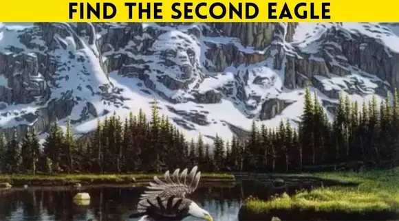 Find second eagle 1
