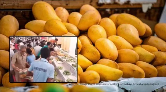 Mango festival civic sense