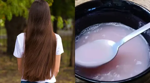 log hair onion