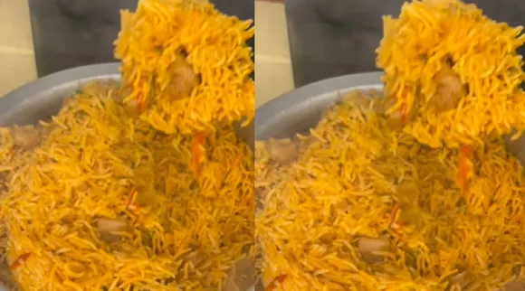 Soya Briyani