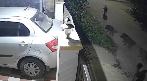 Cbe cctv