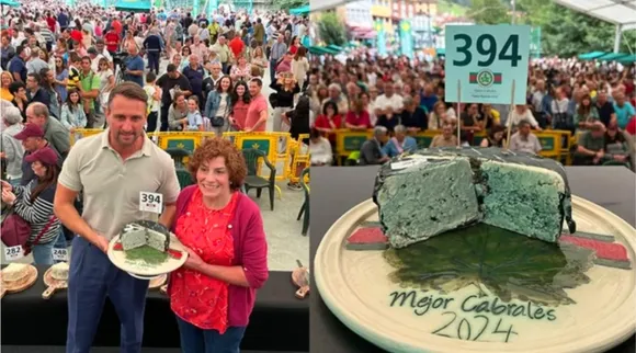 cheese-auction
