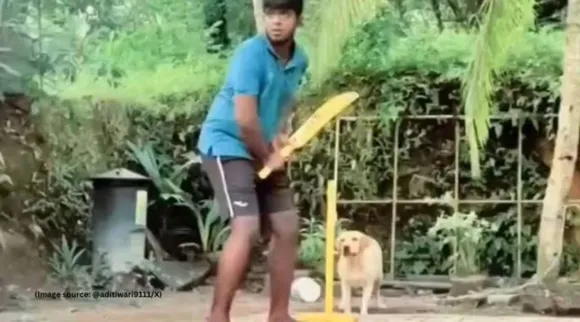 Dog plays Gully Cricket 1