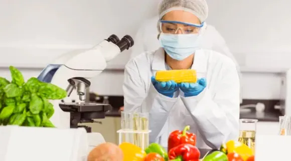 Food scientist