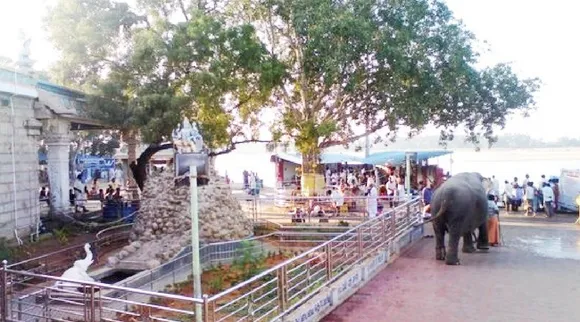 Aadi Amavasai Trichy Kaveri River area special arrangement Tamil News