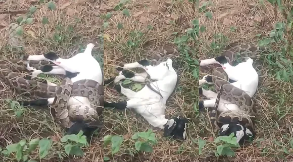Tragedy Near Sirumugai