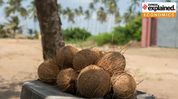 why coconut oil price Three times of other cooking oils Tamil News