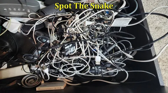 Snake in wires 1