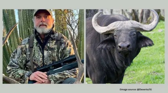 Watkins buffalo