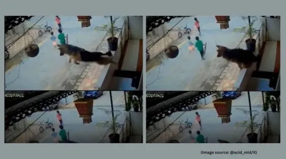 German Shepherd saves kids
