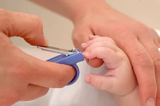 nail cutter