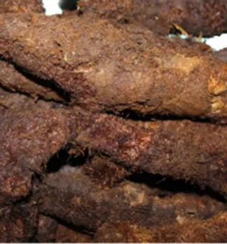 mudavattukaal kizhangu