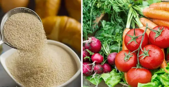 Home gardening organic fertilizer