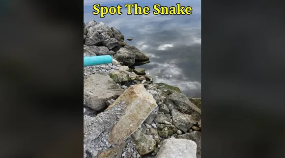 Snake mountain 1