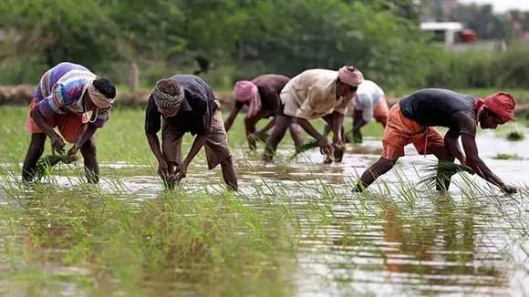 PM kisan samman nidhi yojana