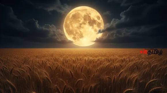 harvest moon (1)
