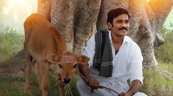 idlikadai