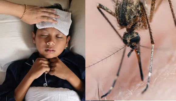 Dengue Fever Dengue affected districts Nadu Dengue Alert Dengue symptoms