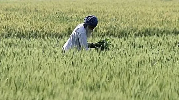 Husband and wife PM Kisan fraud