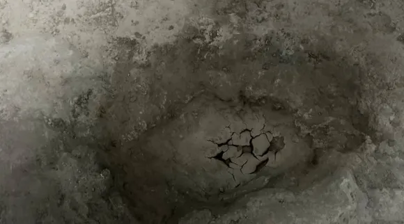 Dinosaur footprints