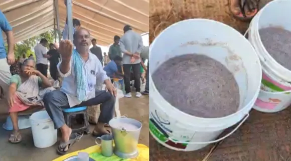 Puducherry Yanam Rare fish variety Cheeramenu sold for Rs 30 lakhs Tamil News