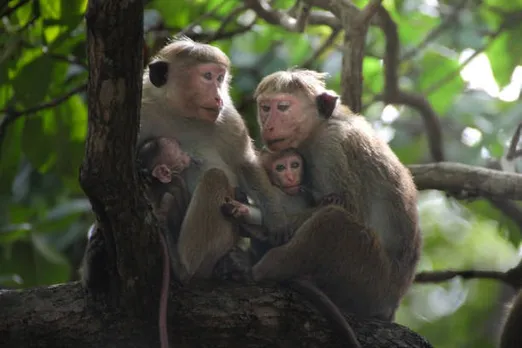 istockphoto-2183834041-612x612