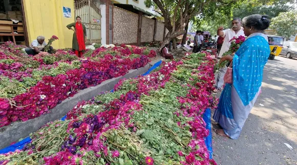 Puducherry Doria Flower sale for All Souls Day Tamil News