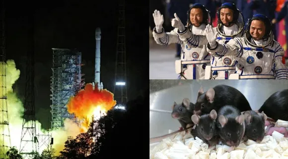 young astronauts and mice