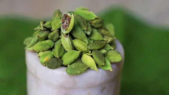 cardamom