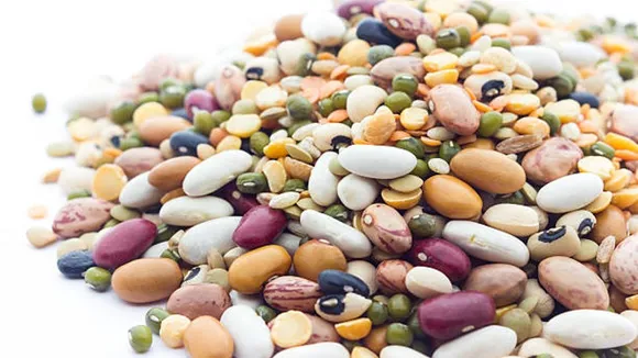 multigrains