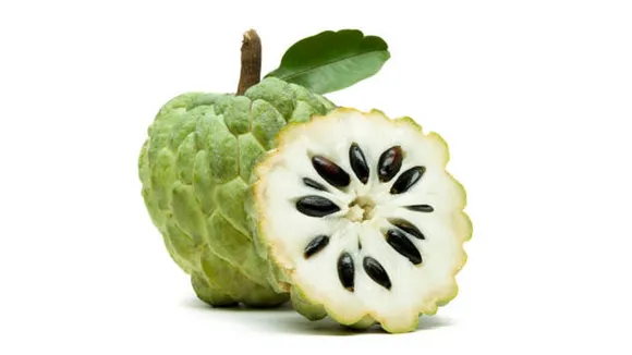 custard apple