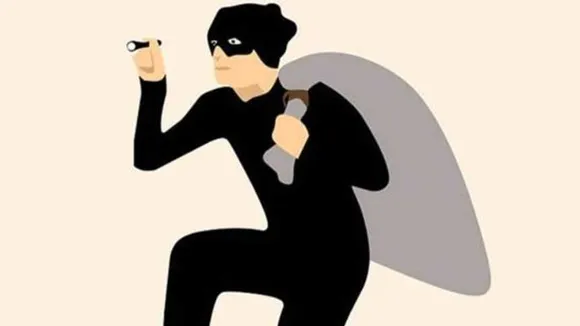 rep image robber