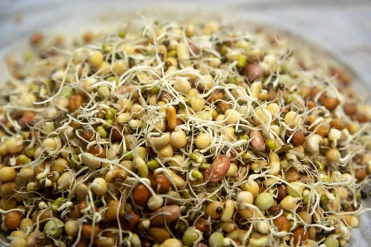 sprouts