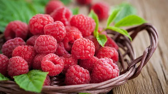 berry