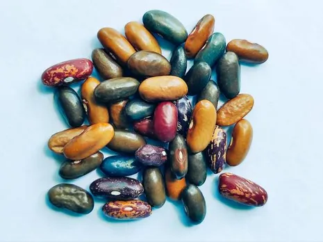 rajma