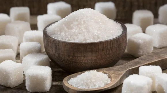 refined sugar