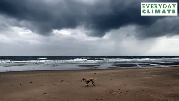 Cyclone Michaung to make landfall in Tamil Nadu