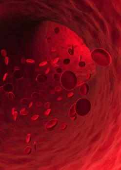 arteries