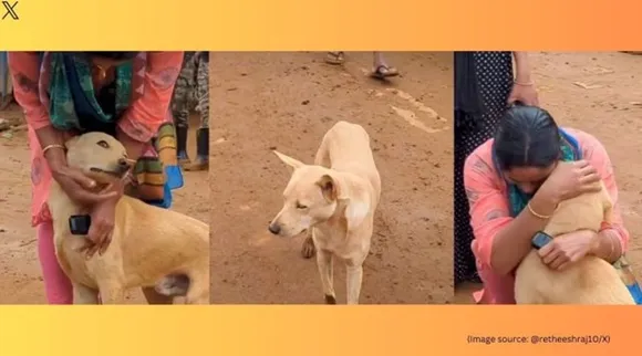 dog reunion