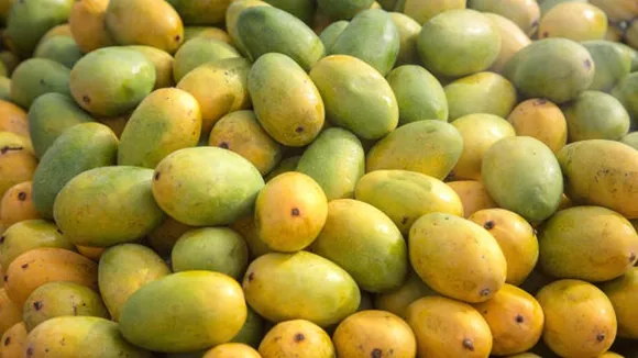 mango