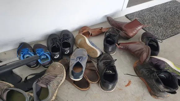 Spot The Snake 1