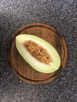 muskmelon seeds